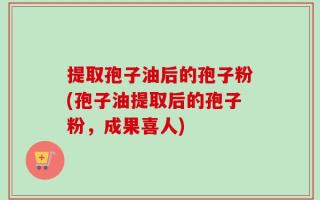 提取孢子油后的孢子粉(孢子油提取后的孢子粉，成果喜人)