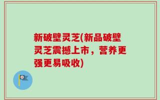 新破壁灵芝(新品破壁灵芝震撼上市，营养更强更易吸收)