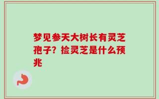 梦见参天大树长有灵芝孢子？捡灵芝是什么预兆