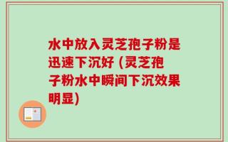 水中放入灵芝孢子粉是迅速下沉好 (灵芝孢子粉水中瞬间下沉效果明显)
