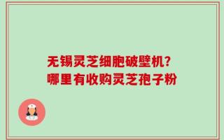 无锡灵芝细胞破壁机？哪里有收购灵芝孢子粉