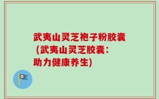 武夷山灵芝袍子粉胶囊 (武夷山灵芝胶囊：助力健康养生)