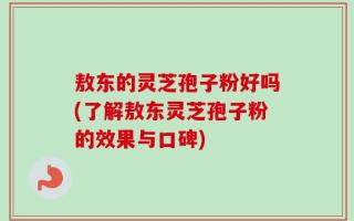 敖东的灵芝孢子粉好吗(了解敖东灵芝孢子粉的效果与口碑)