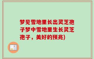 梦见雪地里长出灵芝孢子梦中雪地里生长灵芝孢子，美好的预兆)