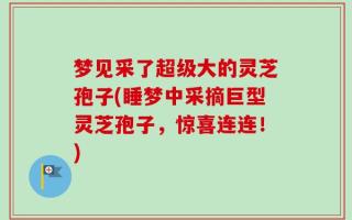 梦见采了超级大的灵芝孢子(睡梦中采摘巨型灵芝孢子，惊喜连连！)