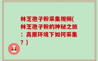 林芝孢子粉采集视频(林芝孢子粉的神秘之旅：高原环境下如何采集？)