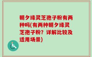 朝夕缘灵芝孢子粉有两种吗(有两种朝夕缘灵芝孢子粉？详解比较及适用场景)