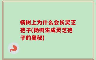 杨树上为什么会长灵芝孢子(杨树生成灵芝孢子的奥秘)