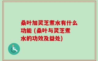 桑叶加灵芝煮水有什么功能 (桑叶与灵芝煮水的功效及益处)