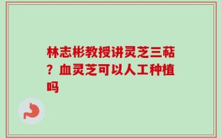 林志彬教授讲灵芝三萜？血灵芝可以人工种植吗