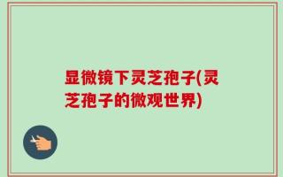 显微镜下灵芝孢子(灵芝孢子的微观世界)