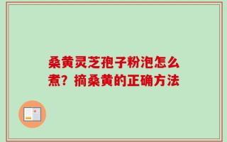 桑黄灵芝孢子粉泡怎么煮？摘桑黄的正确方法