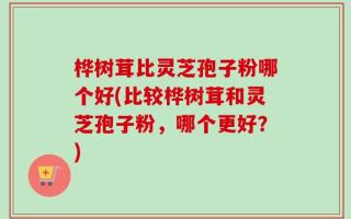 桦树茸比灵芝孢子粉哪个好(比较桦树茸和灵芝孢子粉，哪个更好？)