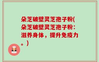 朵芝破壁灵芝孢子粉(朵芝破壁灵芝孢子粉：滋养身体，提升免疫力。)