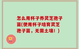 怎么用杯子养灵芝孢子苗(使用杯子培育灵芝孢子苗，无需土壤！)