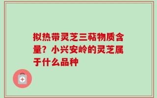 拟热带灵芝三萜物质含量？小兴安岭的灵芝属于什么品种