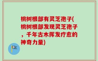 桃树根部有灵芝孢子(桃树根部发现灵芝孢子，千年古木挥发疗愈的神奇力量)