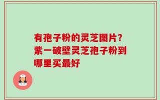 有孢子粉的灵芝图片？紫一破壁灵芝孢子粉到哪里买最好