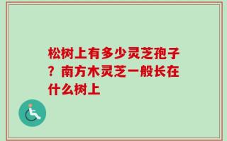 松树上有多少灵芝孢子？南方木灵芝一般长在什么树上