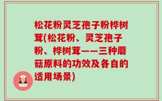 松花粉灵芝孢子粉桦树茸(松花粉、灵芝孢子粉、桦树茸——三种蘑菇原料的功效及各自的适用场景)
