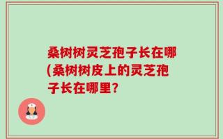 桑树树灵芝孢子长在哪(桑树树皮上的灵芝孢子长在哪里？
