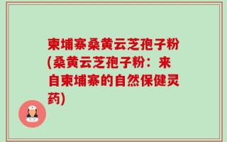 柬埔寨桑黄云芝孢子粉(桑黄云芝孢子粉：来自柬埔寨的自然保健灵药)
