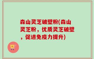 森山灵芝破壁粉(森山灵芝粉，优质灵芝破壁，促进免疫力提升)