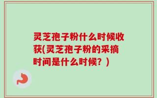 灵芝孢子粉什么时候收获(灵芝孢子粉的采摘时间是什么时候？)