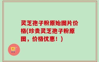 灵芝孢子粉原始图片价格(珍贵灵芝孢子粉原图，价格优惠！)