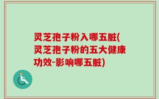 灵芝孢子粉入哪五脏(灵芝孢子粉的五大健康功效-影响哪五脏)