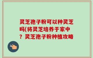 灵芝孢子粉可以种灵芝吗(将灵芝培养于家中？灵芝孢子粉种植攻略