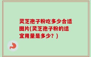 灵芝孢子粉吃多少合适图片(灵芝孢子粉的适宜用量是多少？)