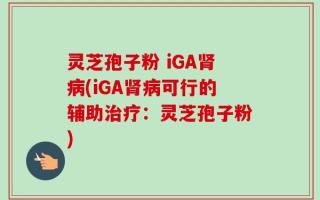 灵芝孢子粉 iGA肾病(iGA肾病可行的辅助治疗：灵芝孢子粉)
