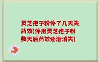 灵芝孢子粉停了几天失药效(停用灵芝孢子粉数天后药效逐渐消失)