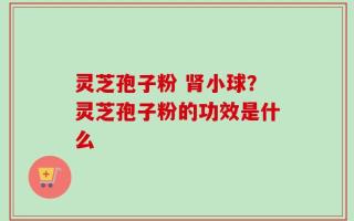 灵芝孢子粉 肾小球？灵芝孢子粉的功效是什么