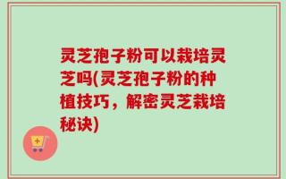 灵芝孢子粉可以栽培灵芝吗(灵芝孢子粉的种植技巧，解密灵芝栽培秘诀)