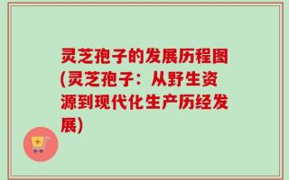 灵芝孢子的发展历程图(灵芝孢子：从野生资源到现代化生产历经发展)