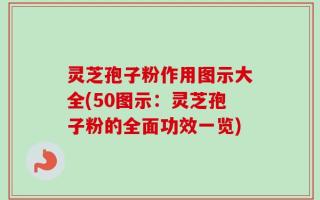 灵芝孢子粉作用图示大全(50图示：灵芝孢子粉的全面功效一览)