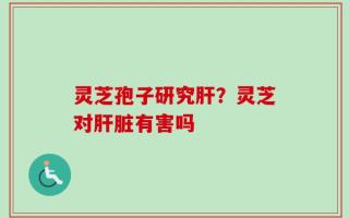 灵芝孢子研究肝？灵芝对肝脏有害吗