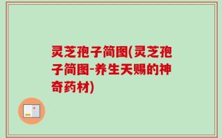 灵芝孢子简图(灵芝孢子简图-养生天赐的神奇药材)