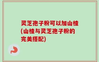灵芝孢子粉可以加山楂(山楂与灵芝孢子粉的完美搭配)