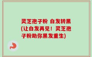 灵芝孢子粉 白发转黑(让白发再见！灵芝孢子粉助你黑发重生)