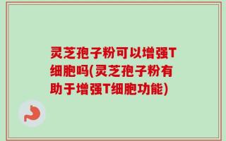 灵芝孢子粉可以增强T细胞吗(灵芝孢子粉有助于增强T细胞功能)