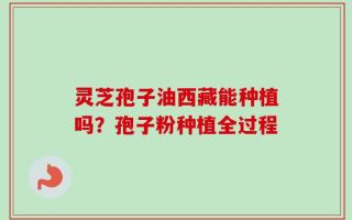 灵芝孢子油西藏能种植吗？孢子粉种植全过程