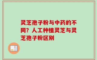 灵芝孢子粉与中药的不同？人工种植灵芝与灵芝孢子粉区别