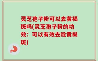 灵芝孢子粉可以去黄褐斑吗(灵芝孢子粉的功效：可以有效去除黄褐斑)