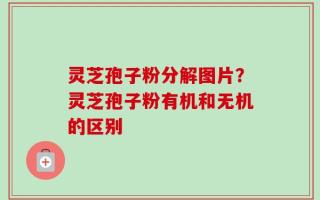 灵芝孢子粉分解图片？灵芝孢子粉有机和无机的区别