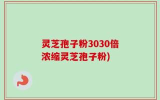 灵芝孢子粉3030倍浓缩灵芝孢子粉)