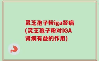 灵芝孢子粉iga肾病(灵芝孢子粉对IGA肾病有益的作用)