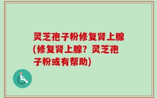 灵芝孢子粉修复肾上腺(修复肾上腺？灵芝孢子粉或有帮助)